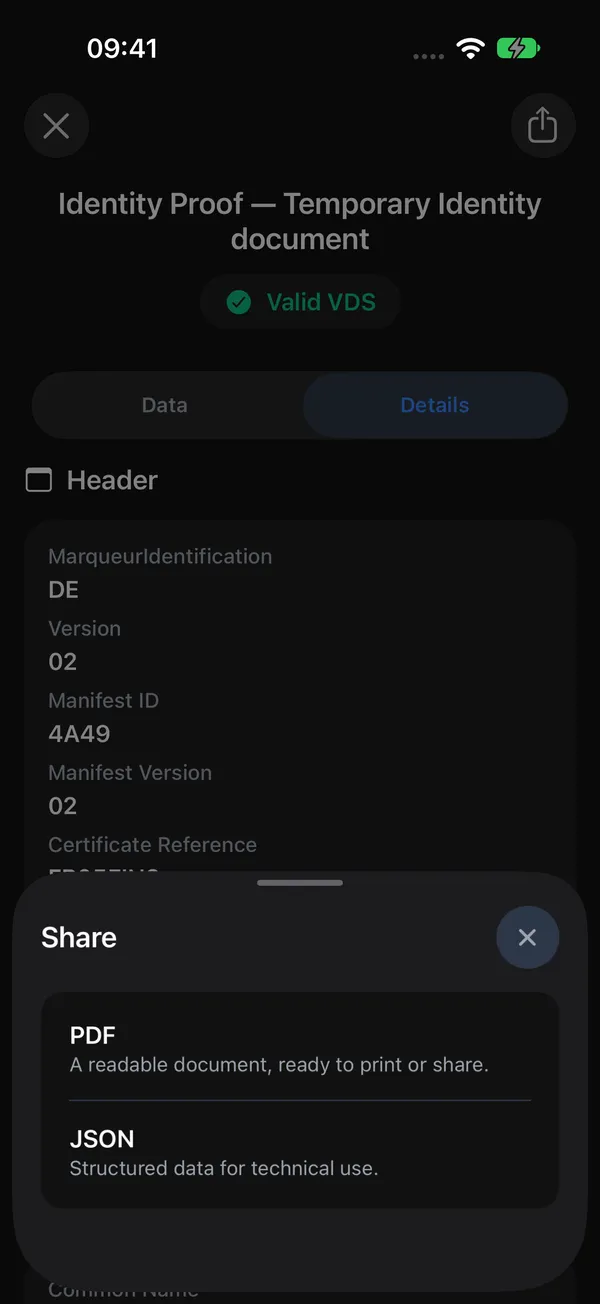Export the result as PDF or JSON