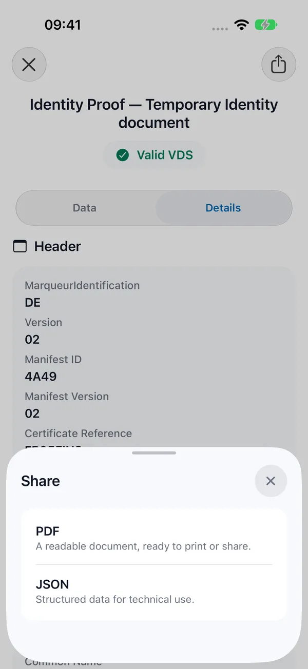 Export the result as PDF or JSON
